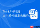 thinkphp6路由中间件绑定失败咋办