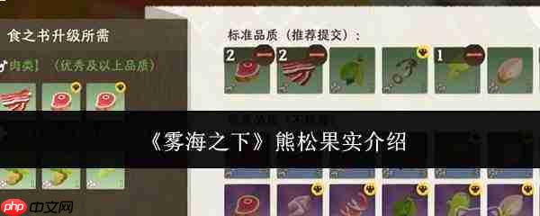 雾海之下:熊松果实介绍及品质解析