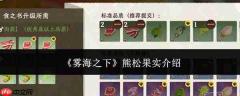 雾海之下:熊松果实介绍及品质解析