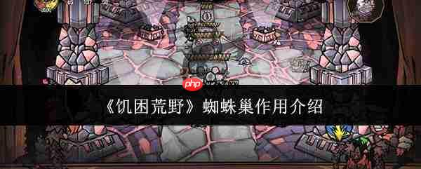 饥困荒野中蜘蛛巢有何用途作用解析