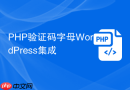 PHP验证码字母WordPress集成