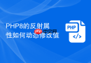 PHP8的反射属性如何动态修改值