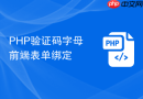 php验证码字母前端表单绑定