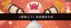 雾海之下:果香猪肘的体验与详细介绍