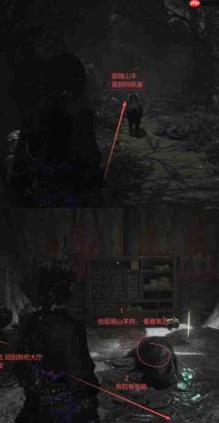 燕云十六声：中式志怪照影庙玩法技巧与通关攻略