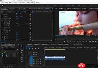 premiere2020怎么重置布局