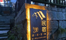 一房难求到房间空置 年轻人不爱住民宿了吗？