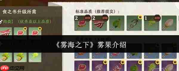 雾海之下:雾果究竟如何及介绍