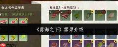 雾海之下：雾果究竟如何及介绍