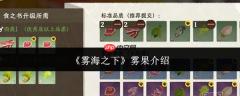 雾海之下：雾果究竟如何及介绍
