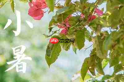 小暑时节哪种天气现象更为常见-小暑时节更为常见的天气现象是哪种