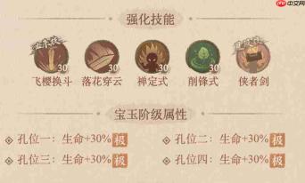 这城有良田:褚樱桃宝玉与装备选择攻略推荐