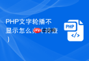php文字轮播不显示怎么办(排查)