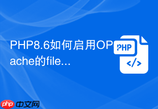 php8.6如何启用opcache的file_cache
