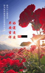 早安心语手机版如何在海报中添加贴纸