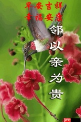 早安心语手机版如何在海报中添加贴纸