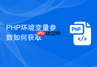 php环境变量参数如何获取