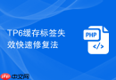 tp6缓存标签失效快速修复法