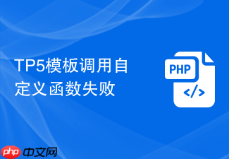tp5模板调用自定义函数失败
