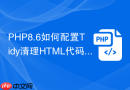 PHP8.6如何配置Tidy清理HTML代码