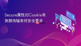 Secure属性对Cookie有效期传输有何安全要求