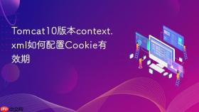 tomcat10版本context.xml如何配置cookie有效期