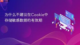 为什么不建议在Cookie中存储敏感数据的有效期