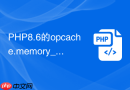 php8.6的opcache.memory_consumption设多大