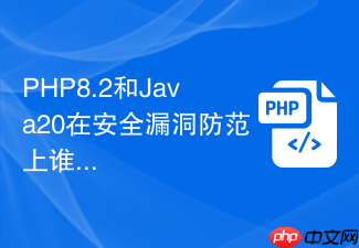 php8.2和java20在安全漏洞防范上谁更可靠