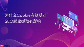 为什么cookie有效期对seo爬虫抓取有影响