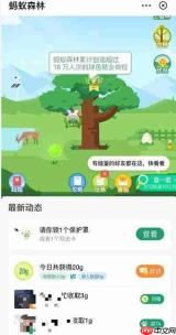 支付宝AI版怎么查看蚂蚁森林能量收集