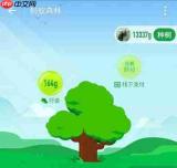 支付宝AI版怎么查看蚂蚁森林能量收集