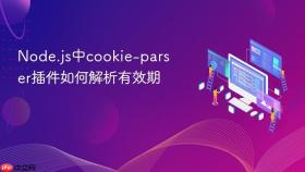 Node.js中cookie-parser插件如何解析有效期