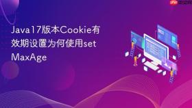 Java17版本Cookie有效期设置为何使用setMaxAge