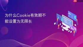 为什么Cookie有效期不能设置为无限长