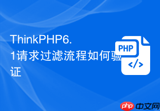 thinkphp6.1请求过滤流程如何验证