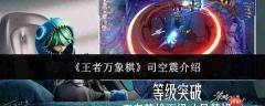 王者万象棋中的司空震表现如何及介绍