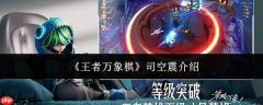 王者万象棋中的司空震表现如何及介绍