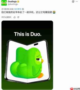 iPhone Duo撞名多邻国吉祥物!官方立即“开撕维权”