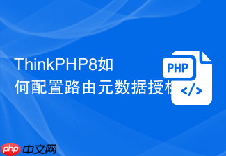 thinkphp8如何配置路由元数据授权