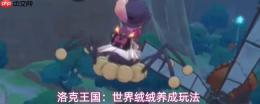 洛克王国：世界中的绒绒如何进化及养成玩法