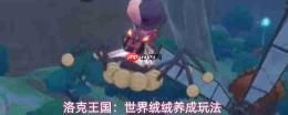 洛克王国：世界中的绒绒如何进化及养成玩法