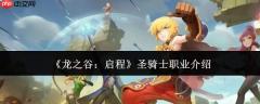 龙之谷新篇：圣骑士职业表现及介绍