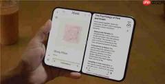 iPhone Duo分屏只能对半分!连一台入门级iPad都不如