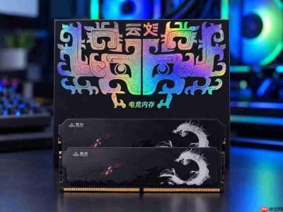 AI大模型也吃内存?绫龙DDR548GB套条评测