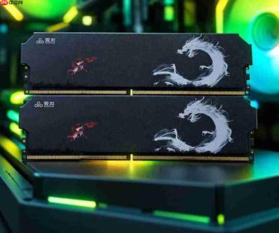 AI大模型也吃内存?绫龙DDR548GB套条评测