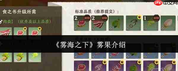雾海之下:雾果的介绍与评价