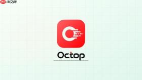 Octop v0.9.24如何设置终端AI技能