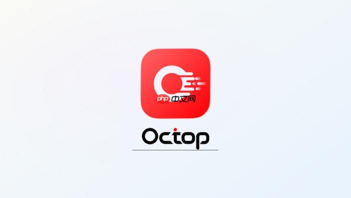 octop v0.9.24怎样连接飞书通道