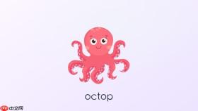 octop v0.9.20怎样管理专家api